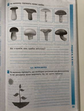 Довкілля. Робочий зошит для 5 класу ЗЗСО до підручника Григоровича, Болотної, Романова