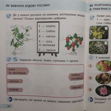Я досліджую світ : робочий зошит для 1 класу до підручн. І. Грущинської та ін. У 2 частинах. Частина 1 + 2 (Можна замовляти окремо, кожна по 90 грн)
