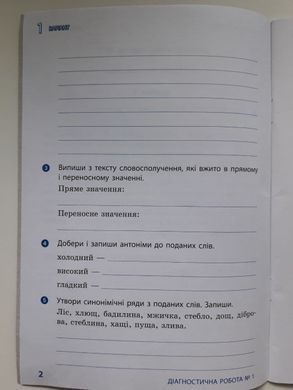 НУШ 4 кл. Укр. мова та читання. Діагностувальні роботи
