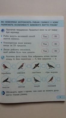 Я досліджую світ. 2 клас Робочий зошит до підр. Грущинської та ін. У 2-х частинах. Частина 1+2 (Можна замовляти окремо, кожна по 90 грн)