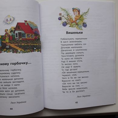 НУШ 1 кл. Чарівний диво-птах. Читання в післябукварний період