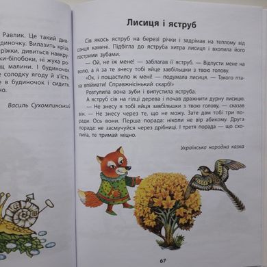 НУШ 1 кл. Чарівний диво-птах. Читання в післябукварний період