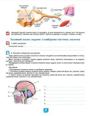 Біологія. 8кл. Робочий зошит - Кулініч О.